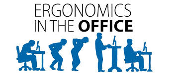 The Importance of Ergonomics in Office Wellness